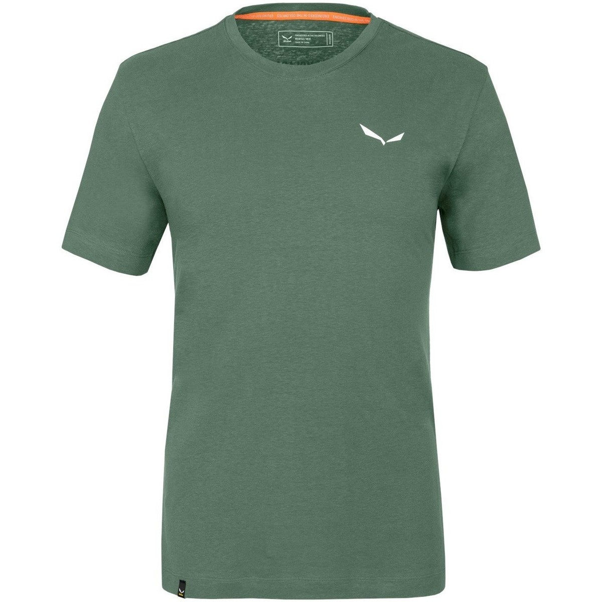 Kleidung Herren T-Shirts & Poloshirts Salewa Pure Dolomites Hemp Men's T-Shirt 28329-5320 Grün
