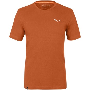 Kleidung Herren T-Shirts & Poloshirts Salewa Pure Dolomites Hemp Men's T-Shirt 28329-4170 Orange