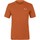 Kleidung Herren T-Shirts & Poloshirts Salewa Pure Dolomites Hemp Men's T-Shirt 28329-4170 Orange