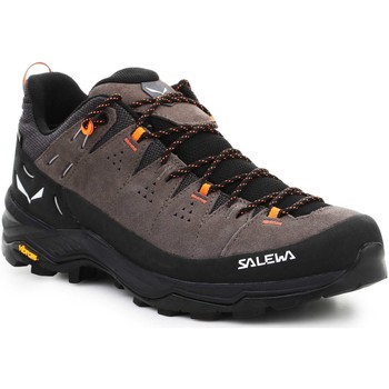 Salewa Alp Trainer 2 Gore-Tex® Men's Shoe 61400-7953 Multicolor