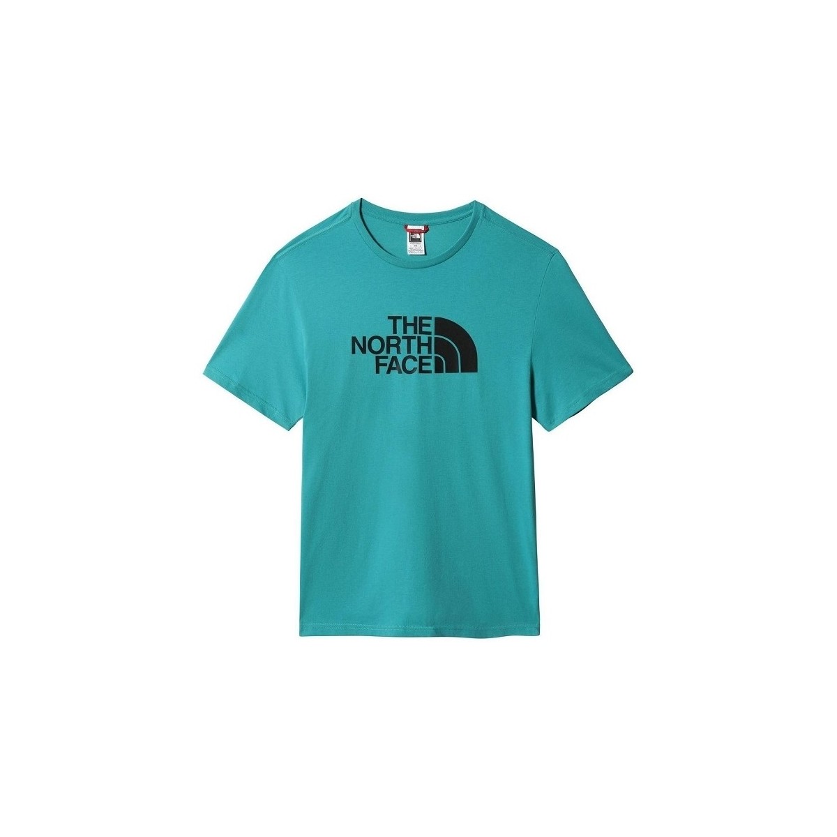 Kleidung Herren T-Shirts & Poloshirts The North Face  Grün