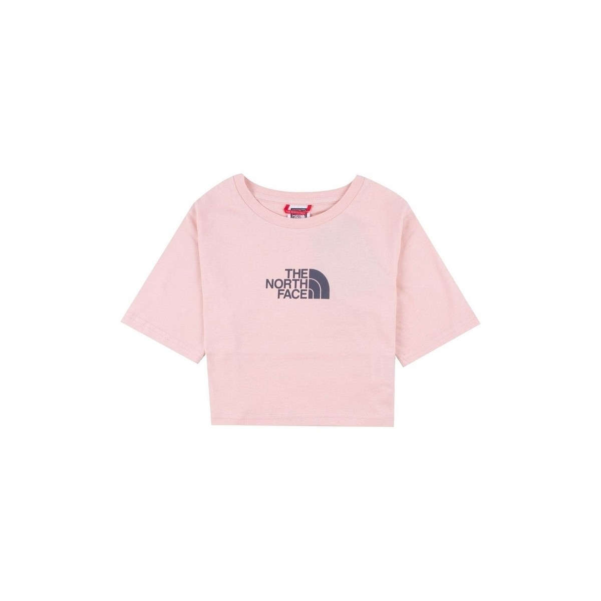 Kleidung Damen T-Shirts & Poloshirts The North Face GHYÈ_ BNHGG SS CROPPED GRAPHIC TEE Rosa