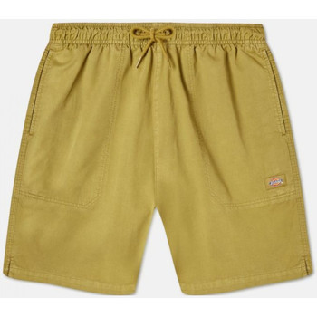 Kleidung Herren Shorts / Bermudas Dickies Pelican rapids Grün