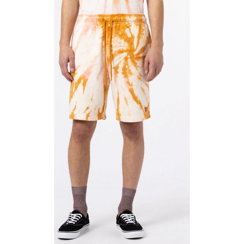 Kleidung Herren Shorts / Bermudas Dickies Seatac short Gelb