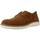 Schuhe Herren Derby-Schuhe & Richelieu Imac 150511I Braun
