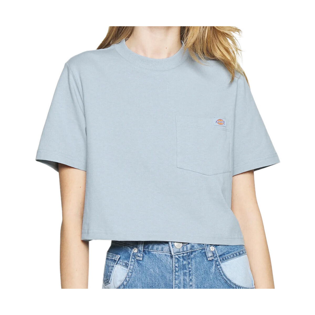 Kleidung Damen T-Shirts & Poloshirts Dickies DK0A4XDEB551 Blau