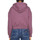 Kleidung Damen Sweatshirts Dickies DK0A4XBOB651 Violett