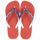 Schuhe Zehensandalen Havaianas BRASIL MIX Rot