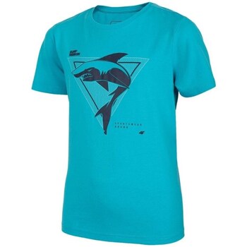 Kleidung Jungen T-Shirts 4F JTSM011 Blau