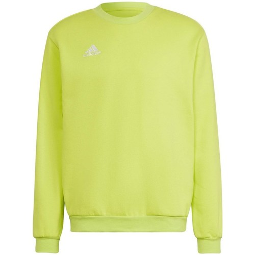 Kleidung Herren Sweatshirts adidas Originals Entrada 22 Gelb