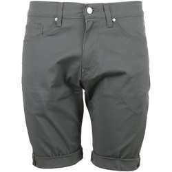 Kleidung Herren Shorts / Bermudas Carhartt Swell Short Grau