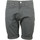 Kleidung Herren Shorts / Bermudas Carhartt Swell Short Grau