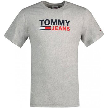 Kleidung Herren T-Shirts Tommy Jeans DM0DM15379 Grau