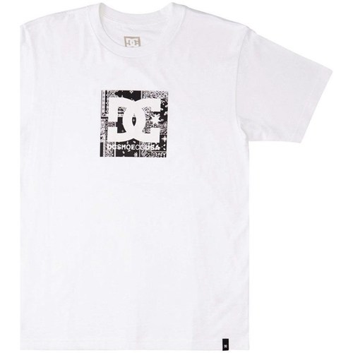 Kleidung Herren T-Shirts DC Shoes Square Star Fill Weiss