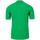 Kleidung Jungen T-Shirts & Poloshirts Le Coq Sportif 2120287 Grün