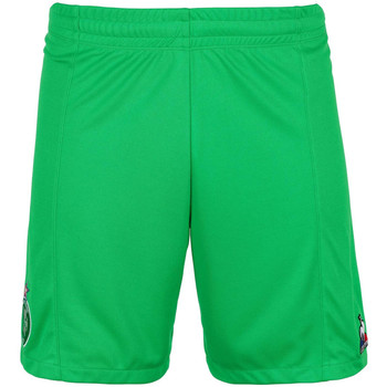 Kleidung Jungen Shorts / Bermudas Le Coq Sportif 2120290 Grün