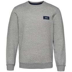 Kleidung Herren Sweatshirts Monotox Logo CN Grau