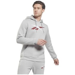Kleidung Herren Sweatshirts Reebok Sport Essentials Vector Grau