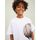 Kleidung Jungen T-Shirts & Poloshirts Jack & Jones 12210575 GRAPHIC TEE-WHITE Weiss