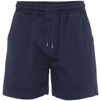 Kleidung Shorts / Bermudas Colorful Standard Short en twill  Organic navy blue Blau