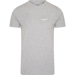 Kleidung Herren T-Shirts Ballin Est. 2013 Small Logo Shirt Grau