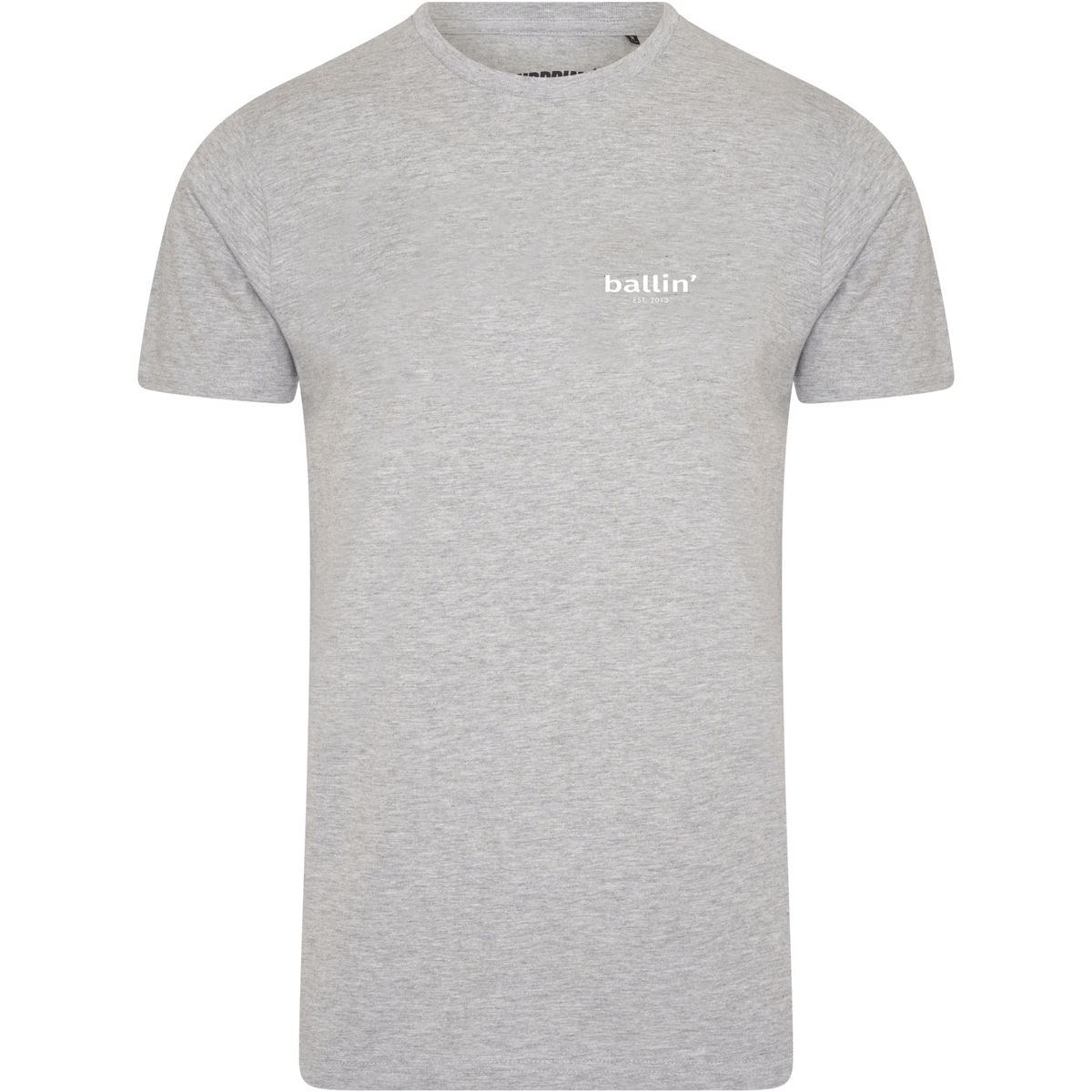 Kleidung Herren T-Shirts Ballin Est. 2013 Small Logo Shirt Grau