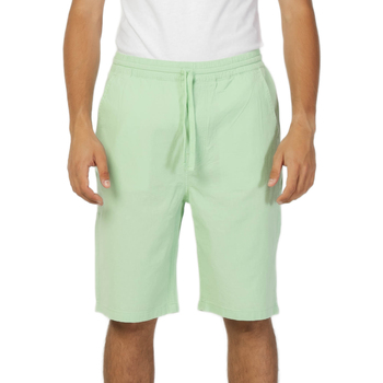 Kleidung Herren Shorts / Bermudas Lee L70KSAUX Grün