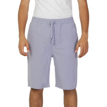 Kleidung Herren Shorts / Bermudas Lee L70KSAUU Violett