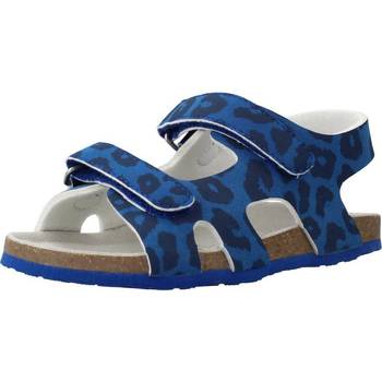 Schuhe Jungen Sandalen / Sandaletten Chicco FABIAN Blau