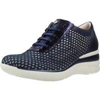 Schuhe Damen Sneaker Low Pitillos 1351P Blau