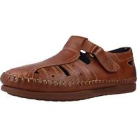 Schuhe Herren Sandalen / Sandaletten Pitillos 4662P Braun