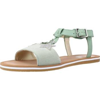 Schuhe Damen Sandalen / Sandaletten Clarks FINCH SUMMER Y Grün