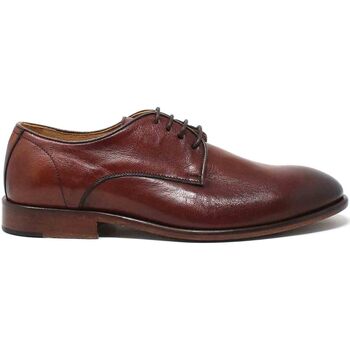 Schuhe Herren Derby-Schuhe Exton 5301 Braun