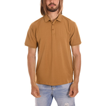 Kleidung Herren T-Shirts & Poloshirts Sseinse PE2222SS Braun