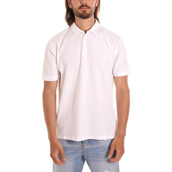 Kleidung Herren T-Shirts & Poloshirts Sseinse PE2222SS Weiss