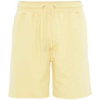 Kleidung Shorts / Bermudas Colorful Standard Short  Classic Organic soft yellow Gelb