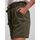 Kleidung Damen Shorts / Bermudas Pieces 17103514 VERT-GRAPE LEAF Grün