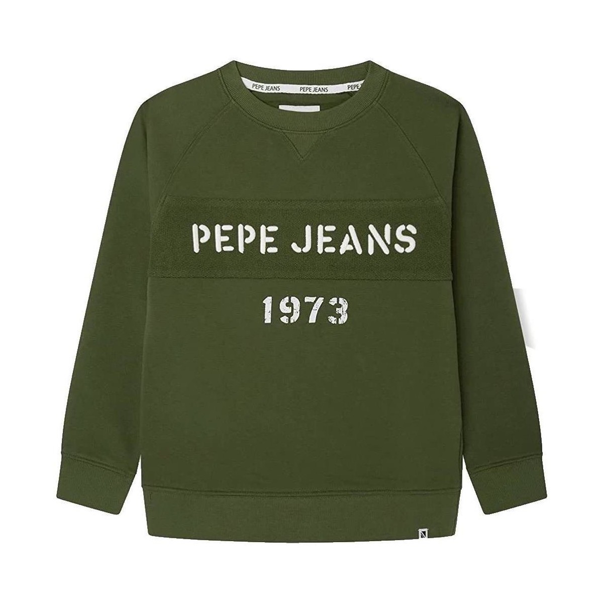 Kleidung Jungen Sweatshirts Pepe jeans  Grün