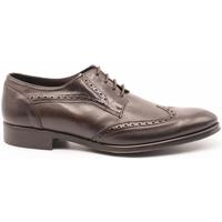 Schuhe Herren Derby-Schuhe & Richelieu Donattelli  Braun