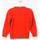 Kleidung Jungen Sweatshirts Napapijri N0CIW1-RA3 Multicolor