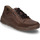 Schuhe Herren Derby-Schuhe & Richelieu Josef Seibel Raymond 01, braun Braun