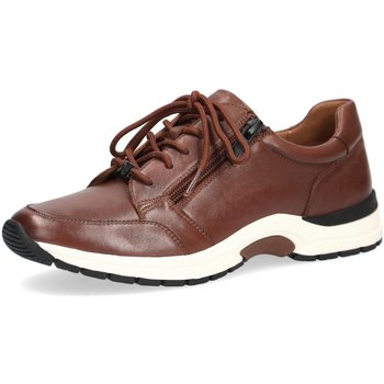 Schuhe Damen Derby-Schuhe & Richelieu Caprice Schnuerschuhe Komfort Schnürhalbschuh extra weit 9-23755-29/331 Braun