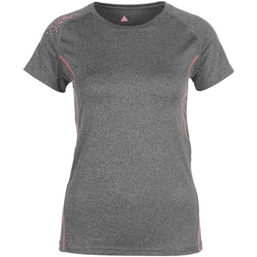 Kleidung Damen T-Shirts Peak Mountain T-shirt manches courtes femme ANSHO Grau