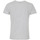 Kleidung Herren T-Shirts Degré Celsius T-shirt manches courtes homme CERGIO Grau