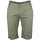 Kleidung Herren Shorts / Bermudas Srk Bermuda homme CLASSI Grün