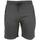 Kleidung Herren Shorts / Bermudas Degré Celsius Short homme CORELIE Grau