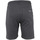 Kleidung Herren Shorts / Bermudas Degré Celsius Short homme CORELIE Grau
