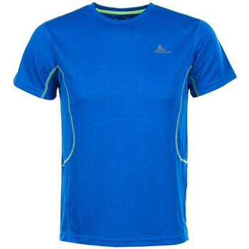 Kleidung Herren T-Shirts Peak Mountain T-shirt manches courtes homme CORIOL Blau