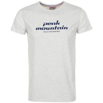 Kleidung Herren T-Shirts Peak Mountain T-shirt manches courtes homme COSMO Grau