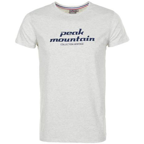 Kleidung Herren T-Shirts Peak Mountain T-shirt manches courtes homme COSMO Grau